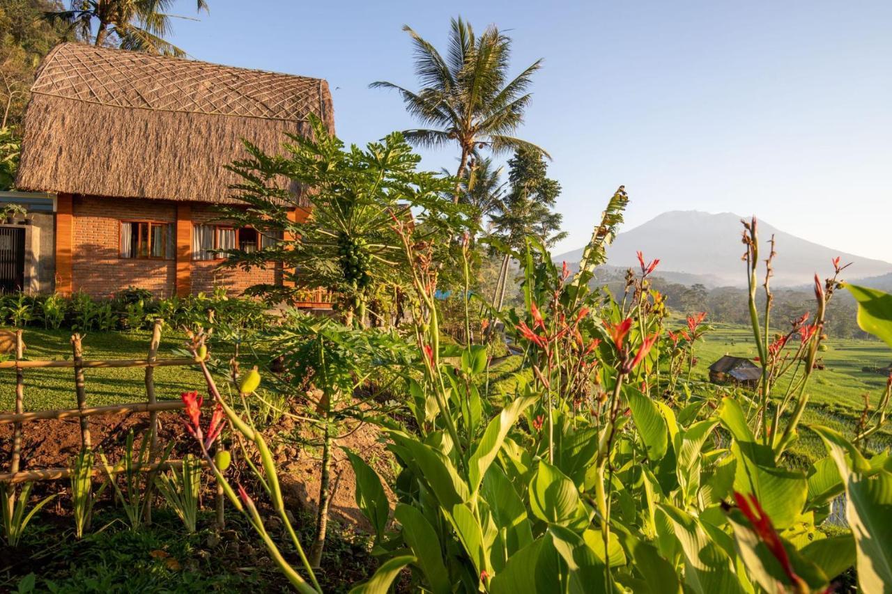 Romantic Barn With Mt. Agung Views Sidemen  Dış mekan fotoğraf